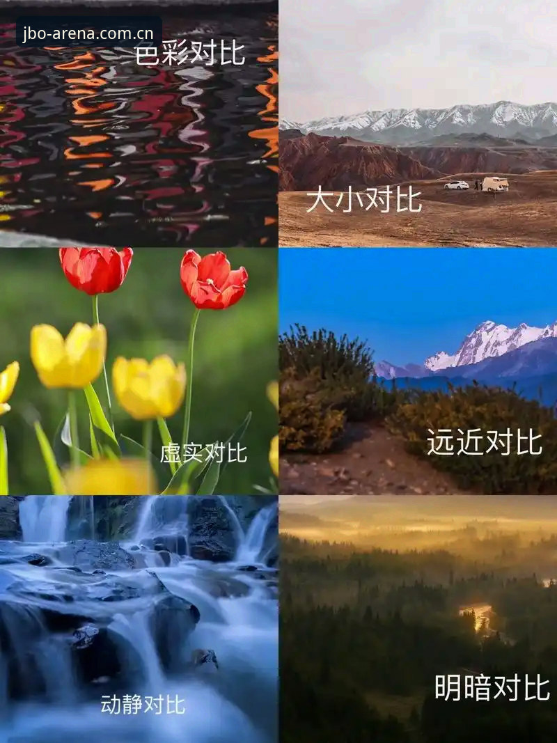 从用户视角出发的jbo竞博官网对比实战经验分享